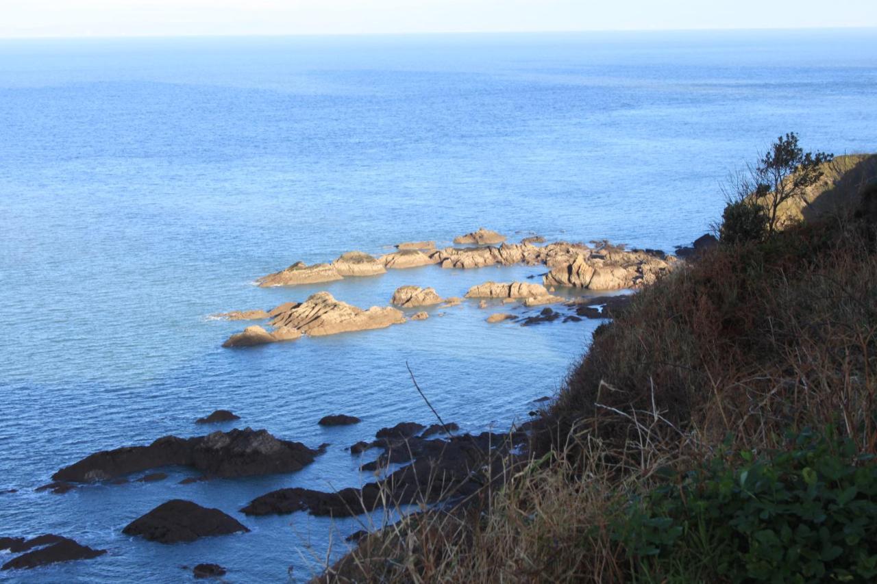 The Olive Branch Bed & Breakfast Ilfracombe